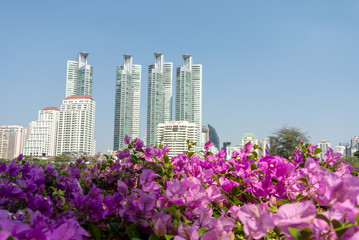 view of the city