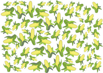 many corn background white