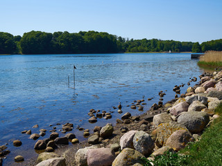 Typical beautiful Danish coastline landscape in the summer
