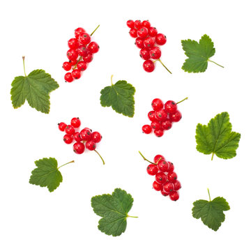 Red currant berries with leaves on a white background