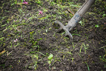 Working with pitchfork in the garden. Selective focus.