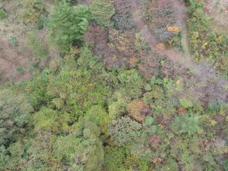 field in autum11(Drawn)