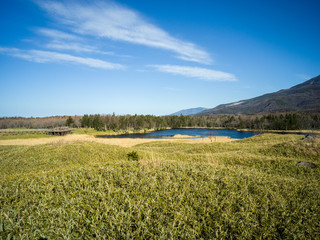 Clear Sky and Pool in forest