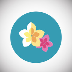 Bali flowers on flat background icon