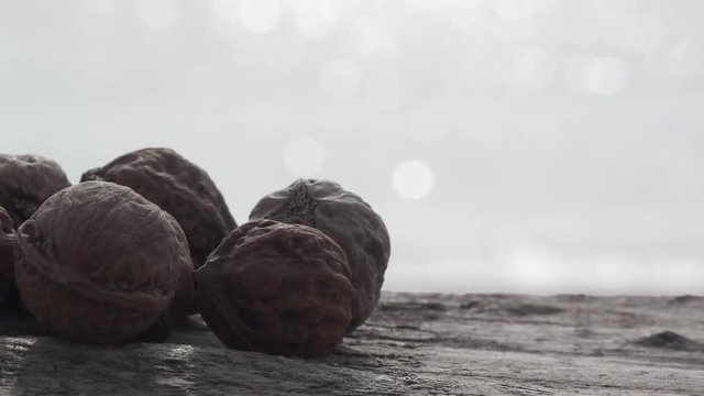 walnut