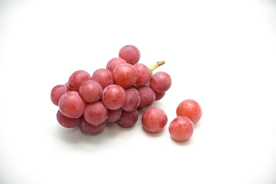 ぶどう　ゴルビー