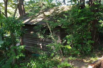 森の中の廃屋
