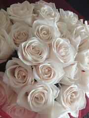 bouquet of white roses