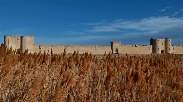 Aigues Mortes, Gard, Occitanie, France. South side ramparts and reeds