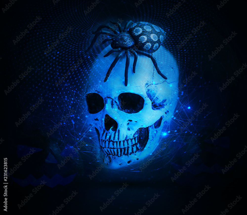 Poster abstract spider on a skull into a cyan network background