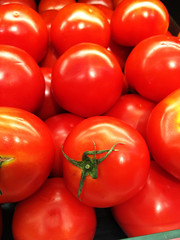 red tomatoes background. Group of tomatoes