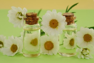 Obraz na płótnie Canvas Chamomile essential oil set in glass bottles and chamomile on a combined green-yellow background.Organic Natural Pure Oil