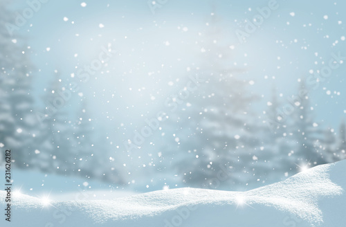&quot;Beautiful winter landscape with snow covered trees.Christmas