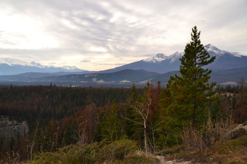 Maligne Lookout