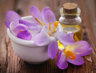 Saffron crocus flower with extract in a bottle