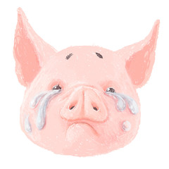 Adorable pig character is crying. Cute little piglet face isolated on white background. Pig emotion collection. Vector hand draw illustration.
