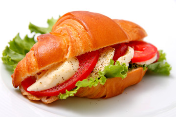 sandwich with cheese and tomatoes