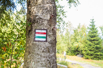 Marking the tourist route painted on the tree. Touristic route sign