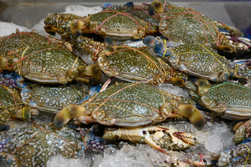 蟹・カニ・渡り・シーフード・魚介・海鮮