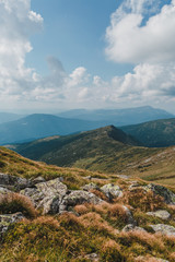 Bright rolling countryside around a farm in the morning light. Picturesque day and gorgeous scene. Location place Carpathian, Ukraine, Europe. Concept ecology protection. Explore the world's beauty.