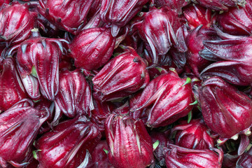  fresh roselle or jamaican sorel, sorrel.