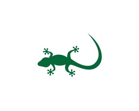 Lizard logo illustration