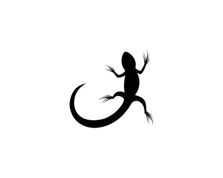 Lizard logo illustration