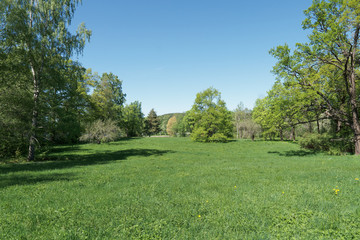 Fototapeta na wymiar Open field in park, empty