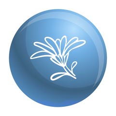 Fototapeta na wymiar Calendula flower icon. Simple illustration of calendula flower vector icon for web design isolated on white background
