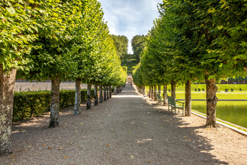 Fototapeta na wymiar Alley of beautifully trimmed trees in the middle of famous renaissance park in chateau Villandry, Loire region, France.