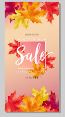 Obraz premium Autumn sale layout decorates with maple leaves on pink background for sale promotion, poster, flyer, leaflet, web banner and graphic use. Vector illustration template.