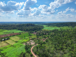 Fototapeta na wymiar Aerial view on a road in a forest at countryside,Thailand.
