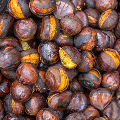 roast Chestnut