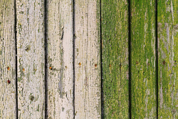 gradient of green paint on wooden boards