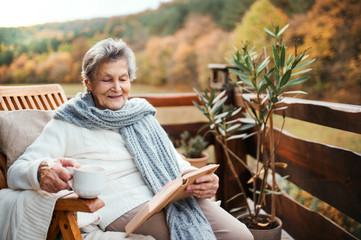 Naklejka na ściany i meble An elderly woman reading book outdoors on a terrace on a sunny day in autumn.
