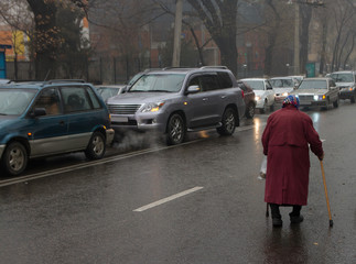 the old woman is on the road