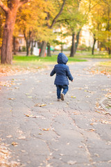 baby boy walking away in colorful autumn park
