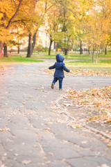 Fototapeta premium baby boy walking away in colorful autumn park