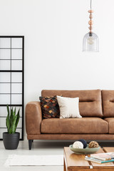 Lamp above brown leather sofa in white living room interior with plant and wooden table. Real photo