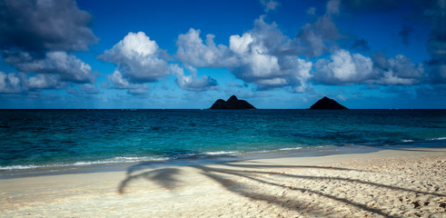 椰子影の砂浜
