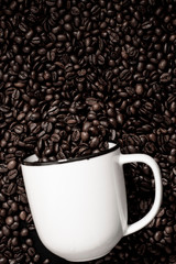 Roasted arabica coffee beans Aand white coffee cup