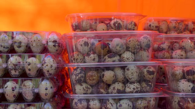20657_Small_dotted_quail_eggs_inside_the_container.mov