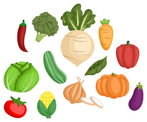 many type of vegetables in one vector set
