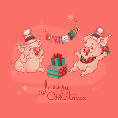 Merry Christmas card. Two Cute pigs. Vector.