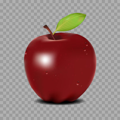 Red apple, Fresh and delicious, Natural concept with isolated background