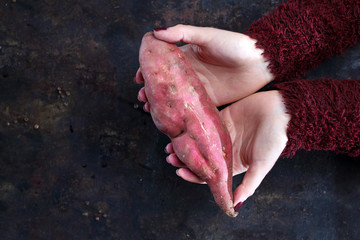  Batat. Kobieta trzyma w dłoniach słodki ziemniak. - obrazy, fototapety, plakaty