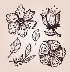 Hand drawn doodle flowers and leaves