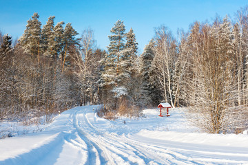 winter rural landscape with forest and road