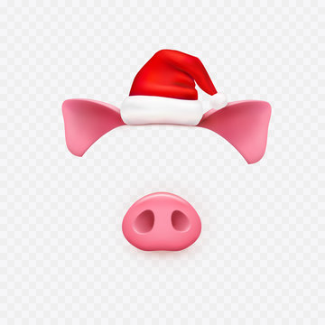 Christmas Santa Claus hat with pig ears, nose elements isolated on transparent background. New Year red hat and piggi face. Vector symbol of year 2019.