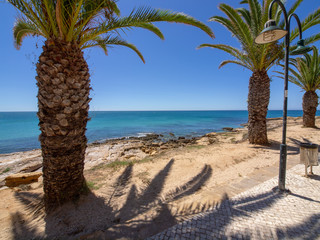Portuguese beach with palm trees
